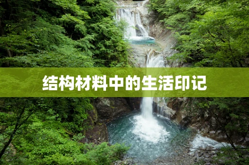 结构材料中的生活印记