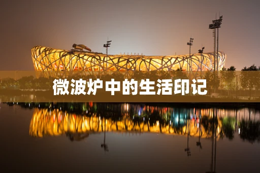 微波炉中的生活印记