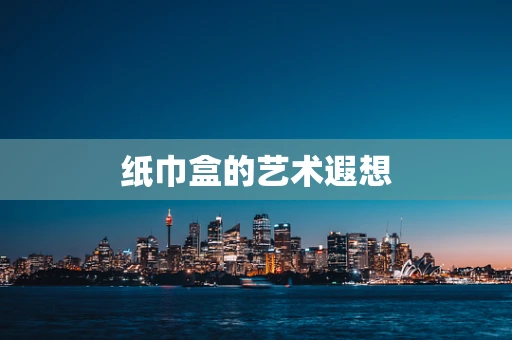 纸巾盒的艺术遐想