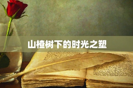 山楂树下的时光之塑