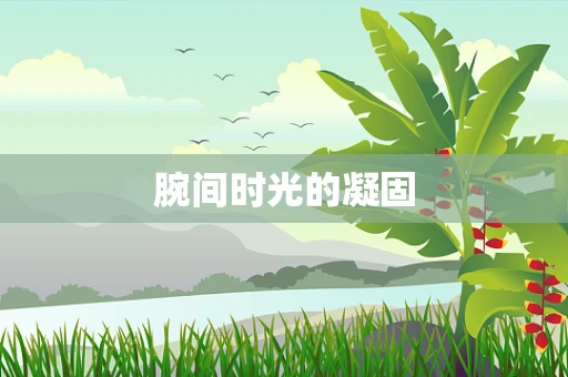 腕间时光的凝固