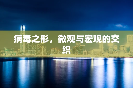 病毒之形，微观与宏观的交织