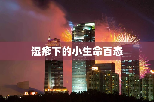 湿疹下的小生命百态