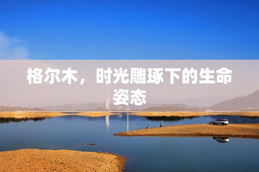 格尔木，时光雕琢下的生命姿态