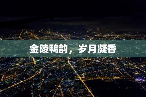 金陵鸭韵，岁月凝香