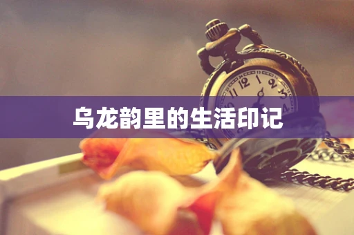 乌龙韵里的生活印记