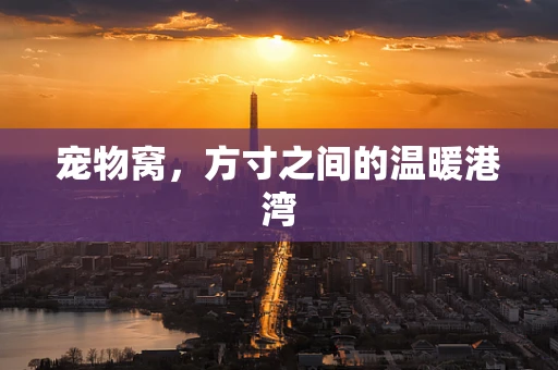宠物窝，方寸之间的温暖港湾