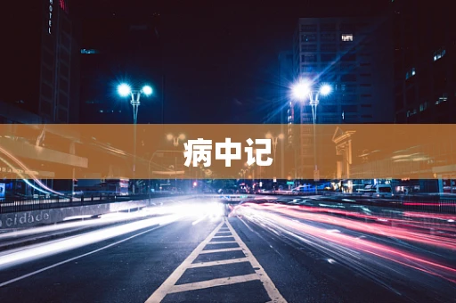 病中记