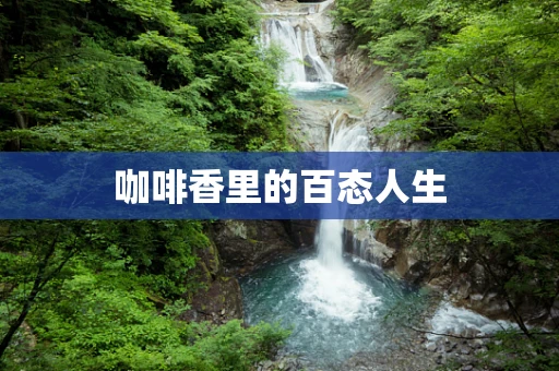 咖啡香里的百态人生