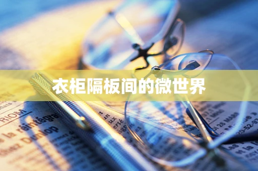 衣柜隔板间的微世界