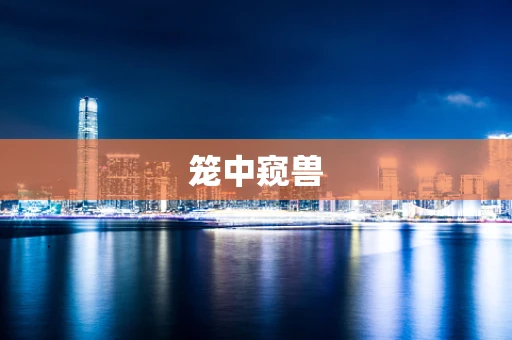 笼中窥兽