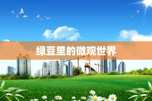 绿豆里的微观世界