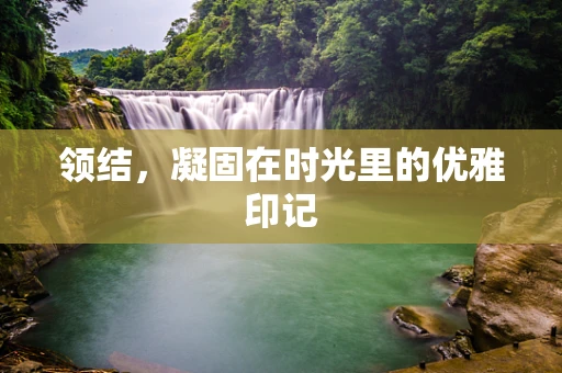 领结，凝固在时光里的优雅印记