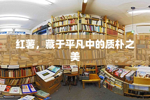 红薯，藏于平凡中的质朴之美