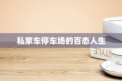 私家车停车场的百态人生
