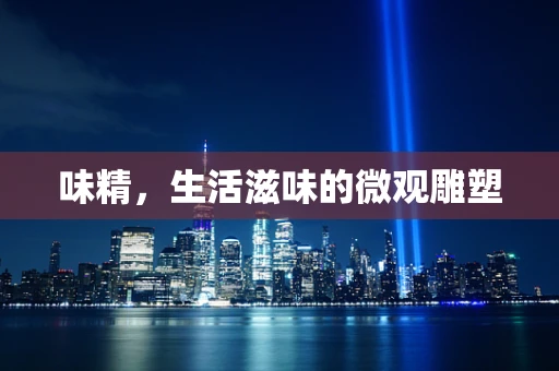 味精，生活滋味的微观雕塑