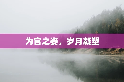为官之姿，岁月凝塑