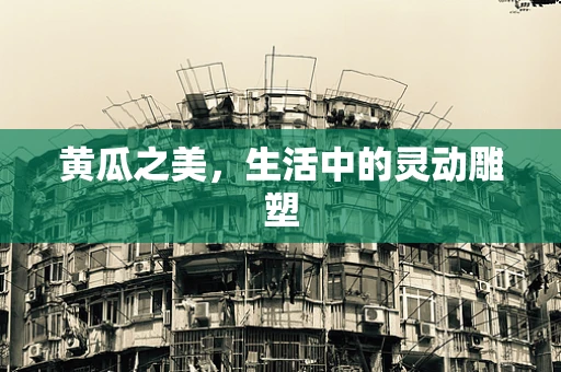 黄瓜之美，生活中的灵动雕塑