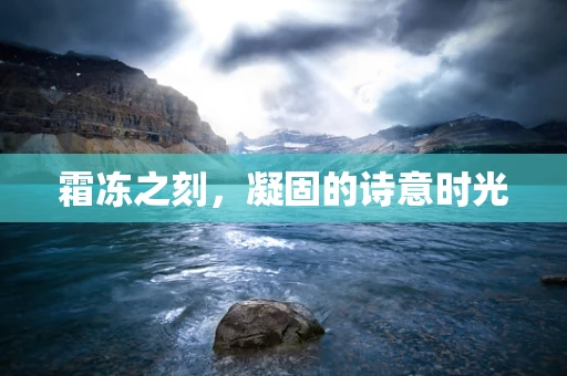 霜冻之刻，凝固的诗意时光