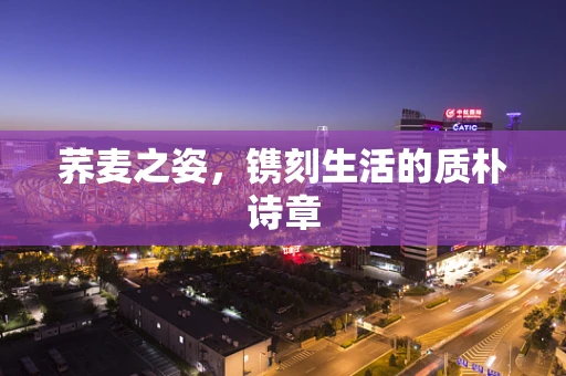 荞麦之姿，镌刻生活的质朴诗章