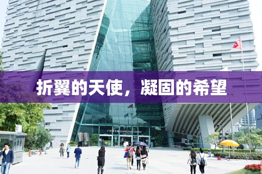 折翼的天使，凝固的希望