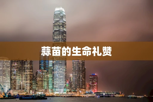 蒜苗的生命礼赞