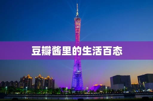 豆瓣酱里的生活百态