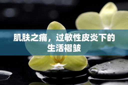 肌肤之痛，过敏性皮炎下的生活褶皱