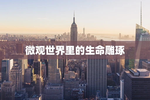 微观世界里的生命雕琢