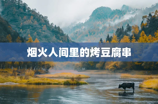 烟火人间里的烤豆腐串