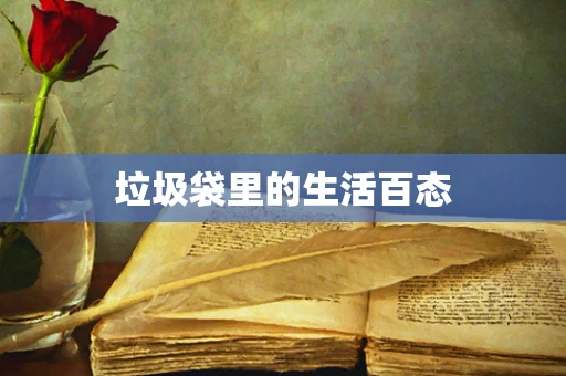 垃圾袋里的生活百态
