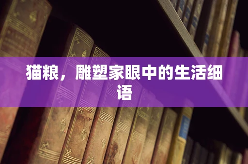 猫粮，雕塑家眼中的生活细语