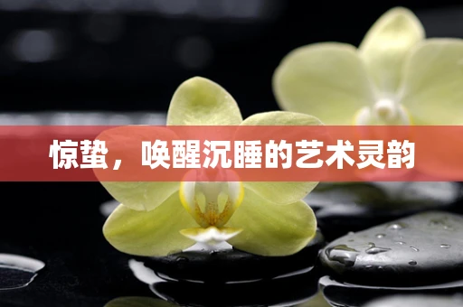 惊蛰，唤醒沉睡的艺术灵韵