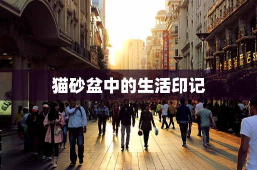 猫砂盆中的生活印记