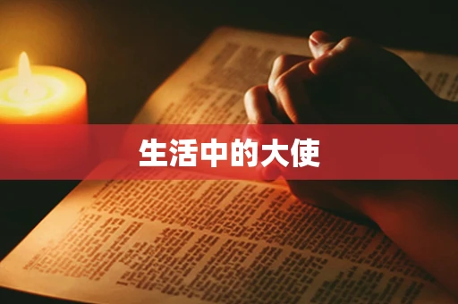 生活中的大使