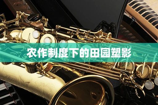 农作制度下的田园塑影