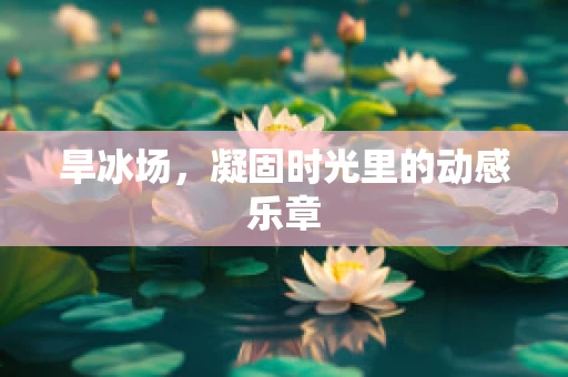 旱冰场，凝固时光里的动感乐章