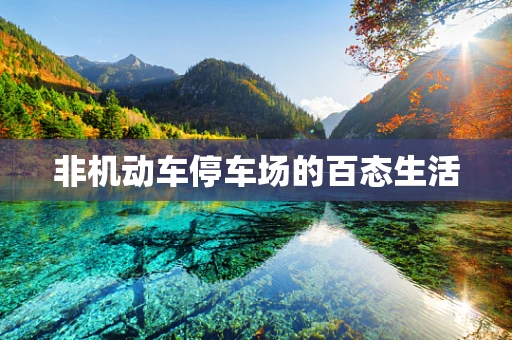 非机动车停车场的百态生活
