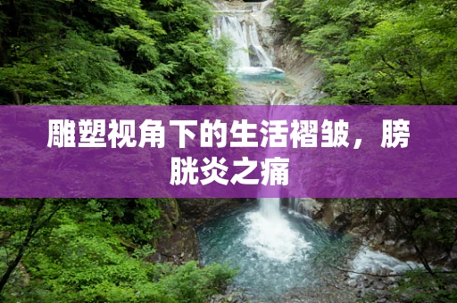 雕塑视角下的生活褶皱，膀胱炎之痛