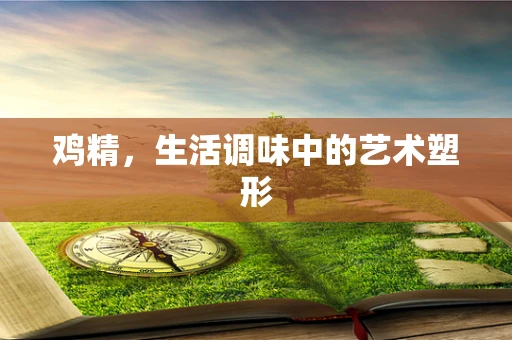 鸡精，生活调味中的艺术塑形