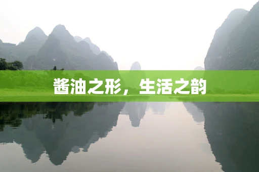 酱油之形，生活之韵