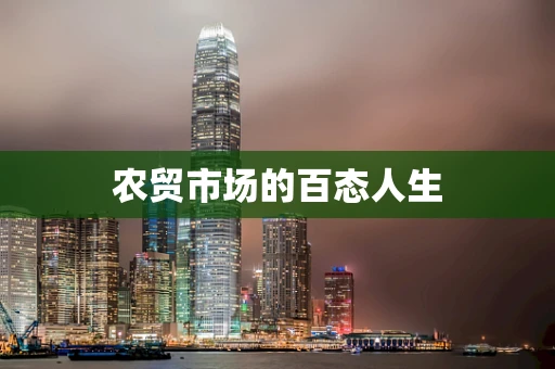 农贸市场的百态人生