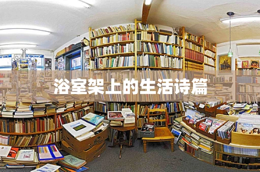浴室架上的生活诗篇