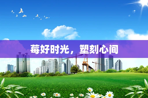 莓好时光，塑刻心间