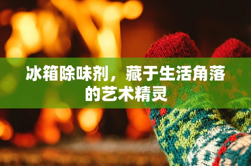 冰箱除味剂，藏于生活角落的艺术精灵