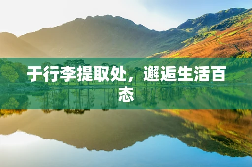 于行李提取处，邂逅生活百态