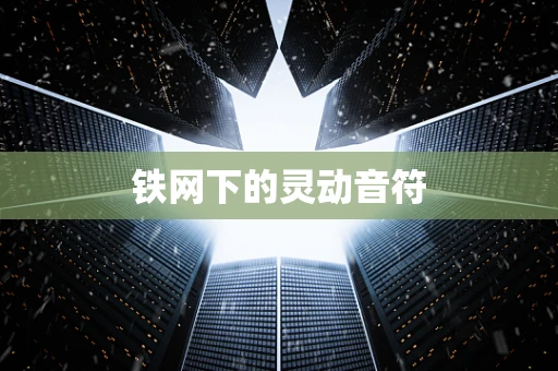 铁网下的灵动音符