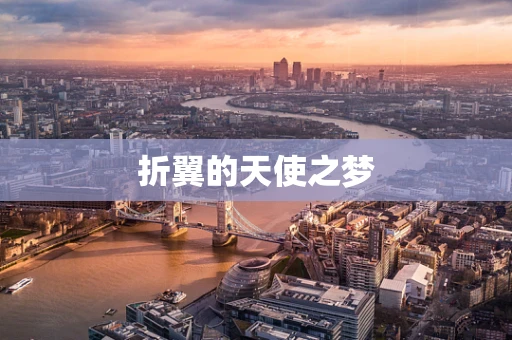 折翼的天使之梦