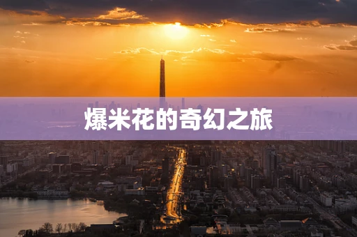 爆米花的奇幻之旅