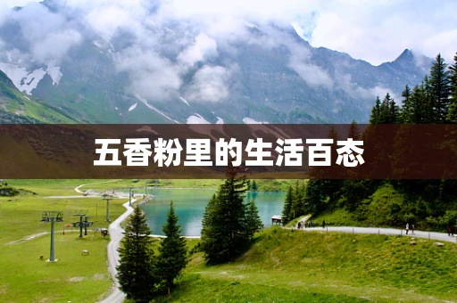 五香粉里的生活百态